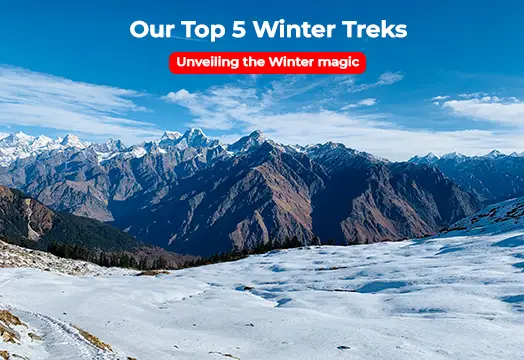 Unveiling The Winter Magic: Our Top 5 Winter Treks