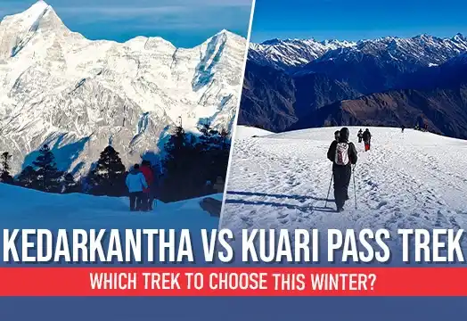 Kedarkantha Trek vs Kuari Pass Trek: Which trek to choose this winter?