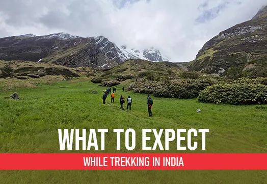 Trekking in India: Top Trails, Tips & Breathtaking Views