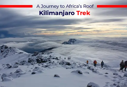 Kilimanjaro Trek: A Journey to Africa’s Roof