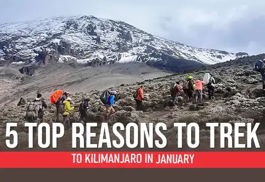 Mount Kilimanjaro 2025 - Trek in Tanzania, Africa
