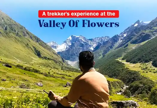 Solo Journey to the Valley of Flowers – A Trekker’s Story