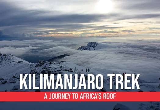 Kilimanjaro Trek: A Journey to Africa’s Roof