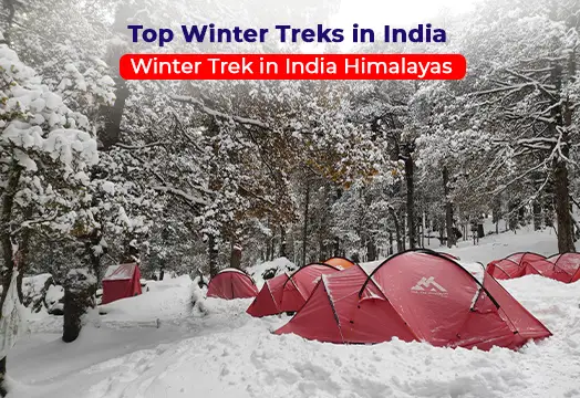 Top Winter Treks in India 2025 - Trek The Himalayas