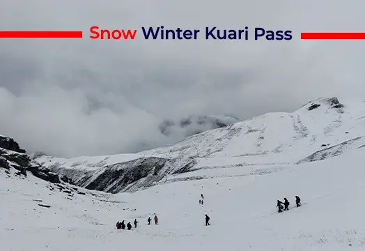 Kuari Pass Trek in Uttarakhand - Best Winter Trek 