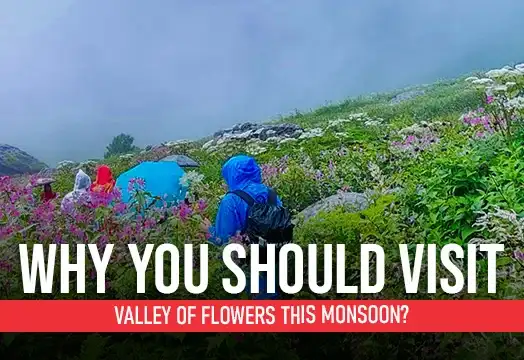 Why you Should Visit Valley of Flowers This Monsoon?