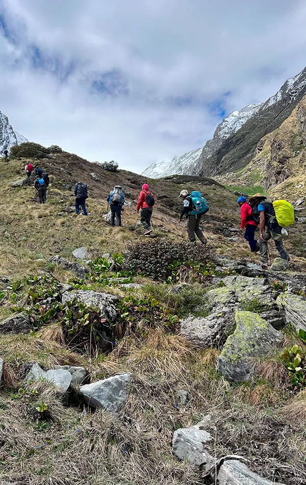 Bali Pass Trek