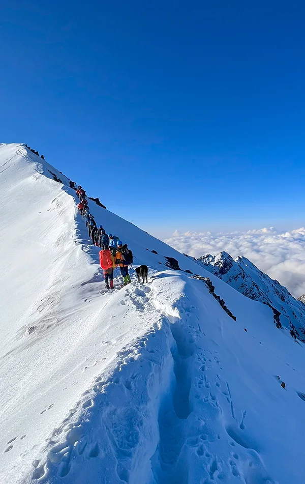 Bali Pass Trek