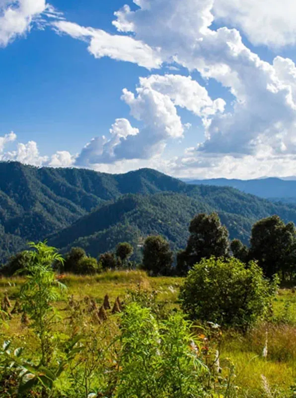 Binsar Weekend Trek Trek Guide, Detailed Itinerary, How to Reach