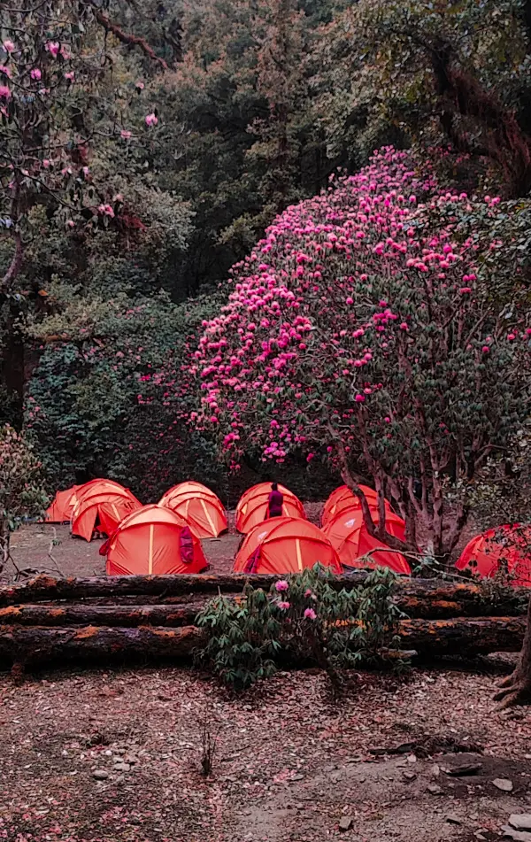 Brahmatal Trek