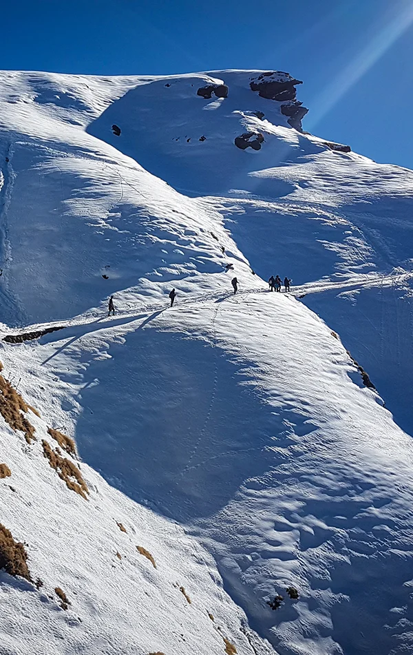 Chopta Chandrashila 3 Day Trek