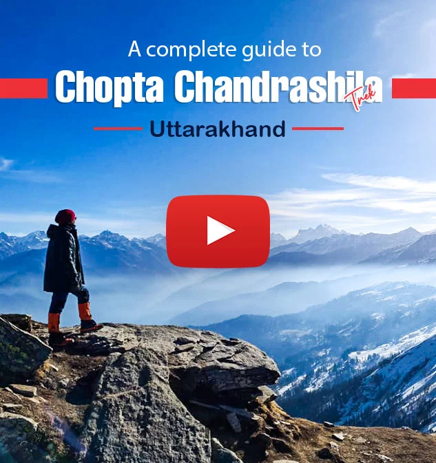 Chopta Chandrashila 3 Day Trek Informative Video