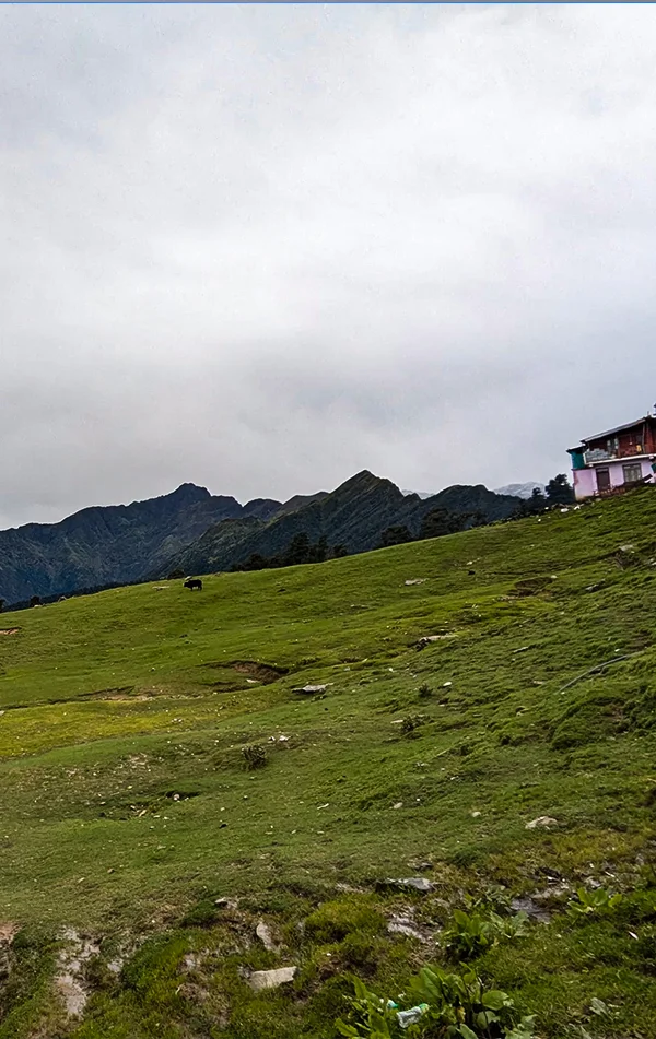 Chopta Chandrashila Tungnath Trek with Deoriatal