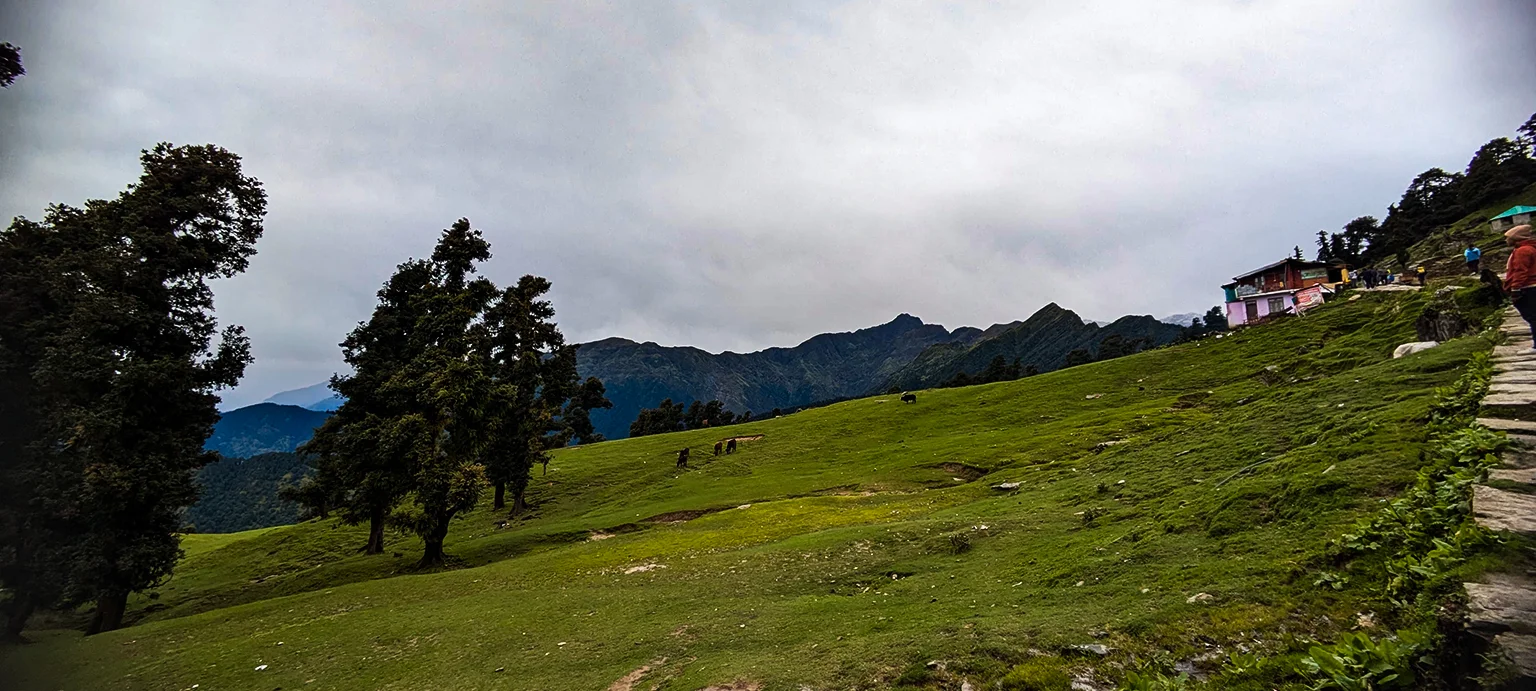 Chopta Chandrashila Tungnath Trek with Deoriatal