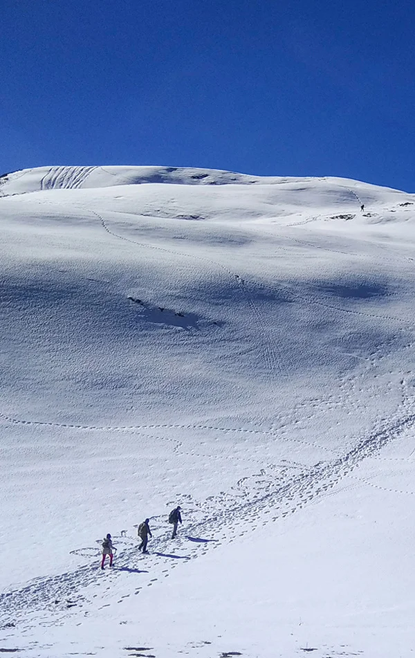 Dayara Bugyal Trek