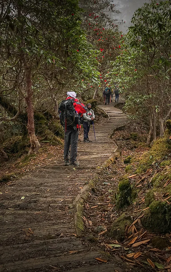 Goechala Trek