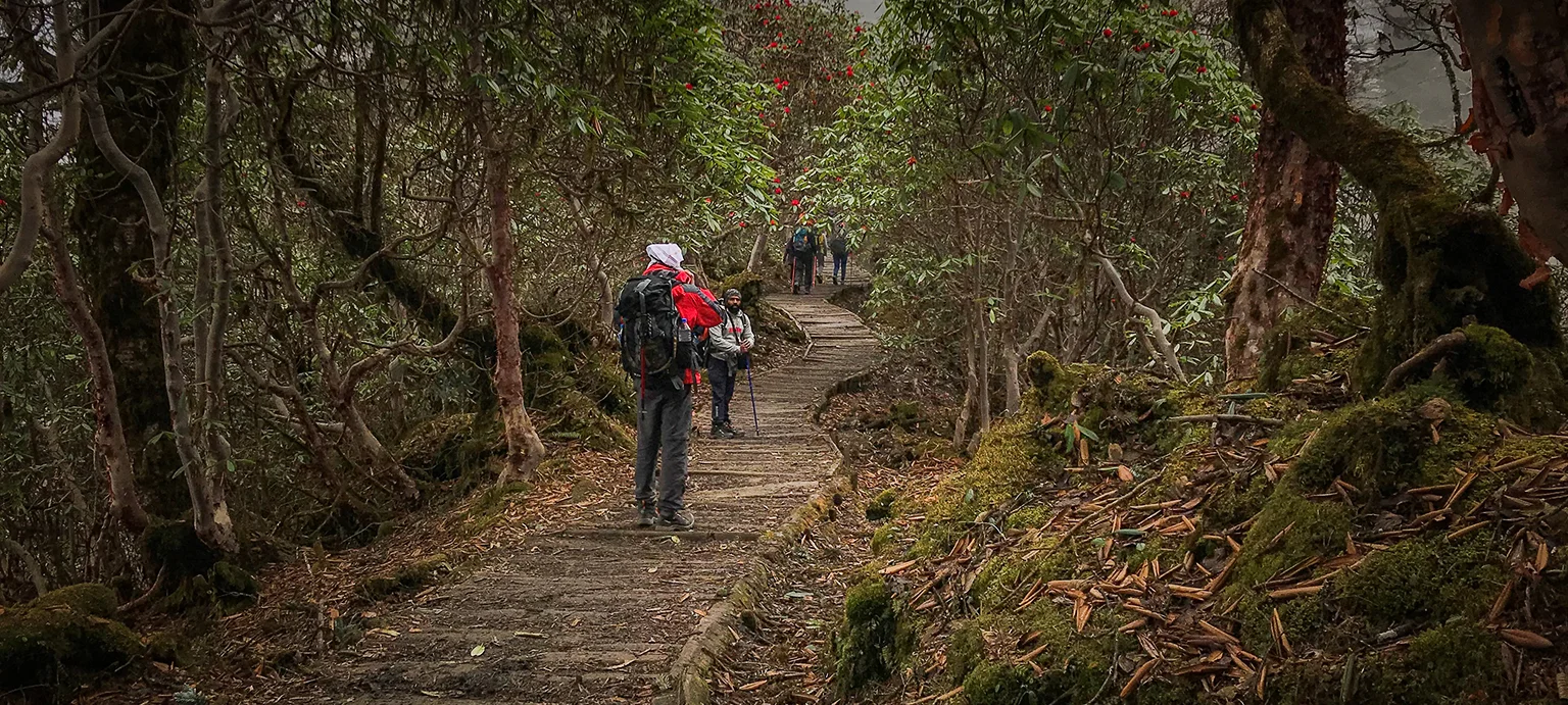 Goechala Trek