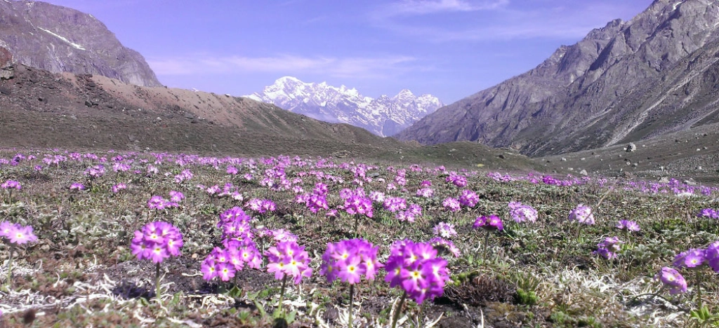 Bagini Glacier Trek