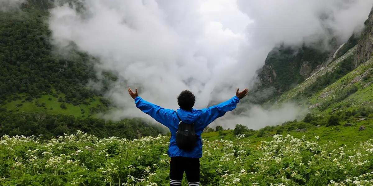 valley of flowers