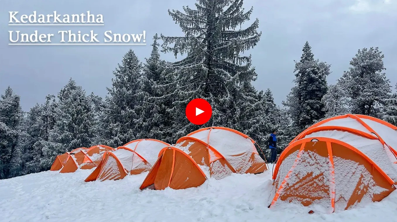 Snowfall Update from Hargaon Camp, Kedarkantha Trek