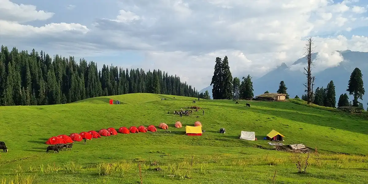 Nafran Valley Trek
