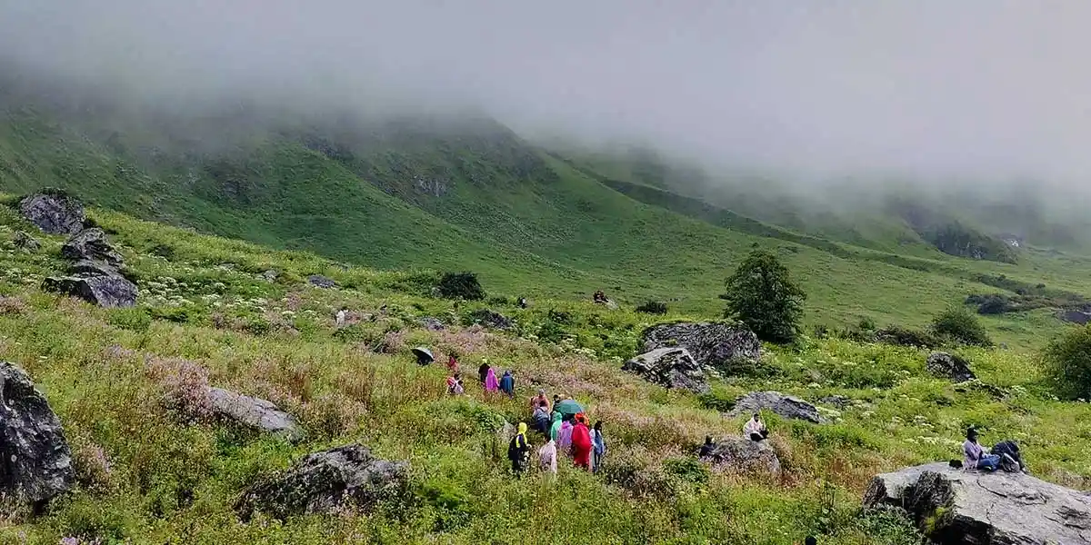 Beginner friendly
trek- valley of flowers
