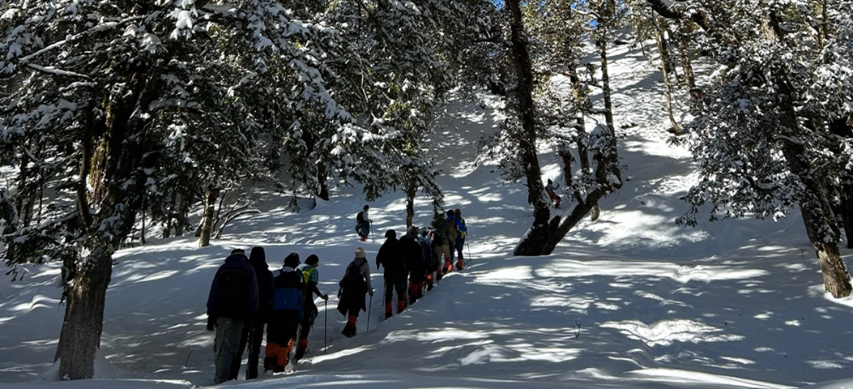 Reasons to Choose the Kuari Pass Trek in Winter