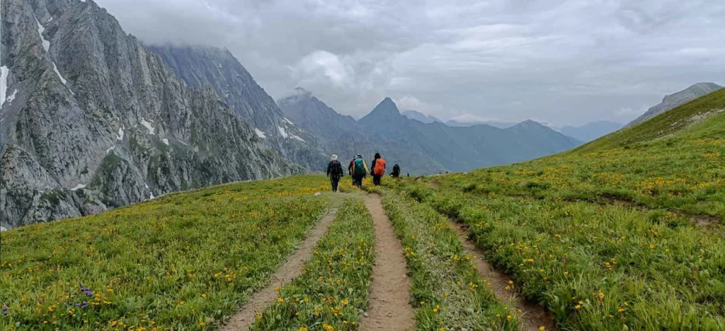 kashmir great lakes trek