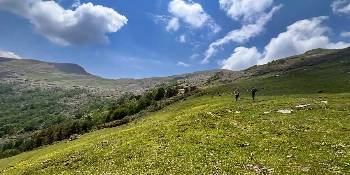 chandrakhani pass trek