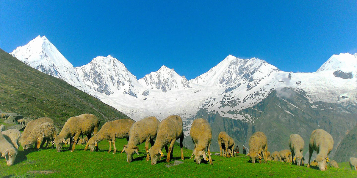 Darma Valley Trek