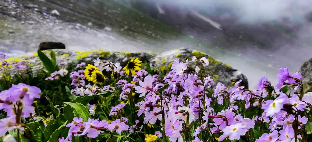 Hampta Pass Trek