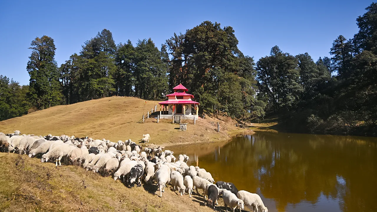 Weather Update of 15-Jan-2026 by Trek The Himalayas