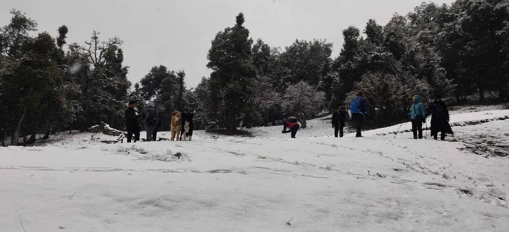 Nag Tibba Trek