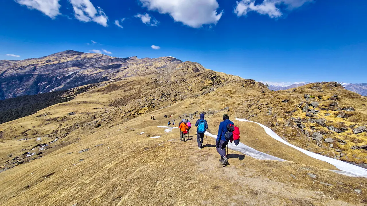 Trekkers are hiking in the autumn season on the Brahmatal Trek, Trek The Himalayas