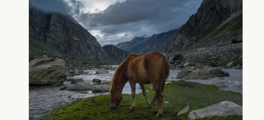 Hampta Pass Trek