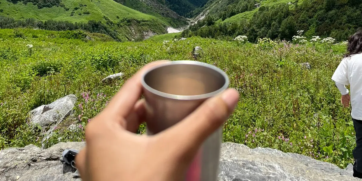 valley of flowers