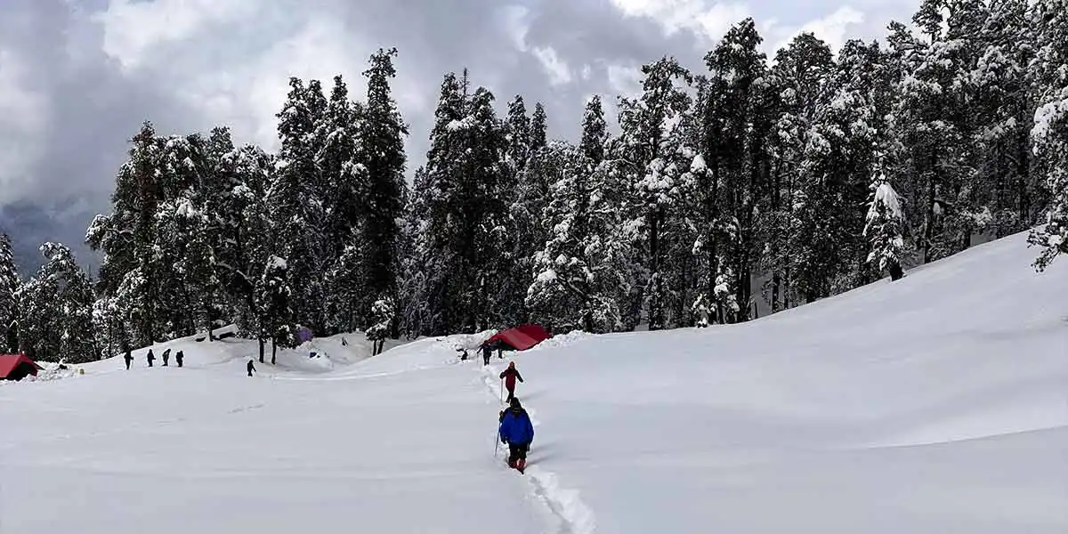 kedarkantha trek