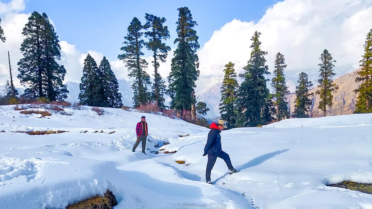 Gulabi Kantha Trek by Trek The Himalayas