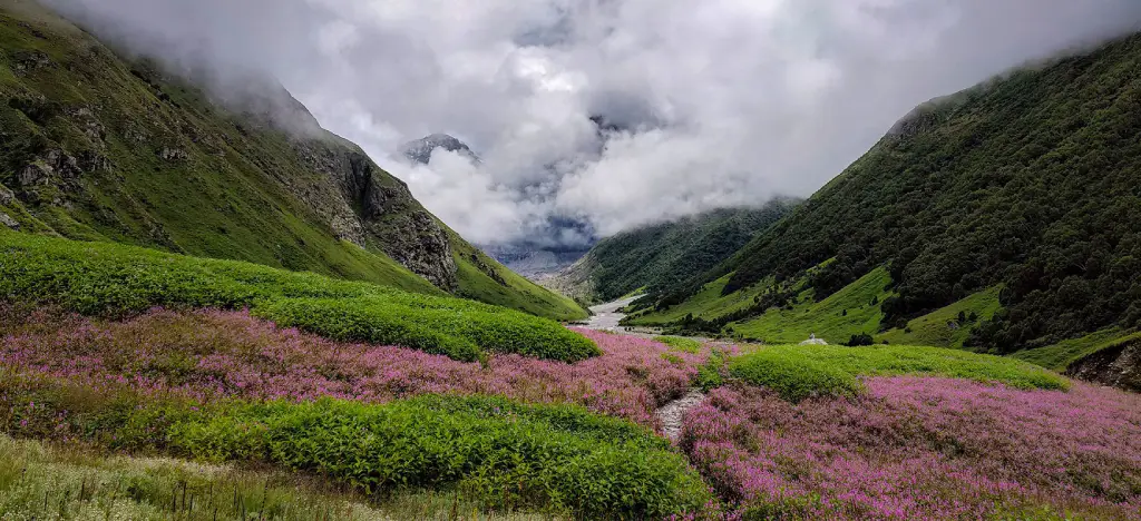 valley of flowers