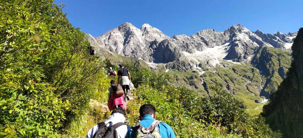 why you should visit valley of flowers trek