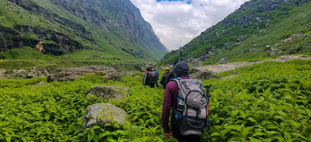 Pin Parvati Pass trek