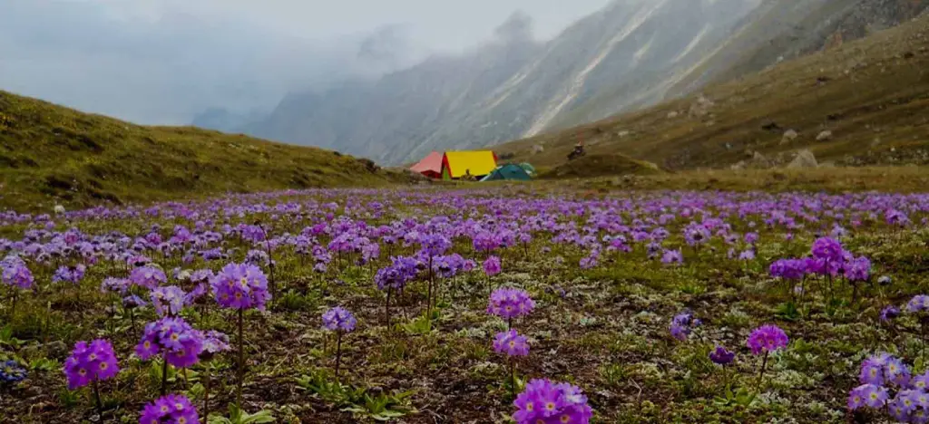 Bagini Glacier Trek