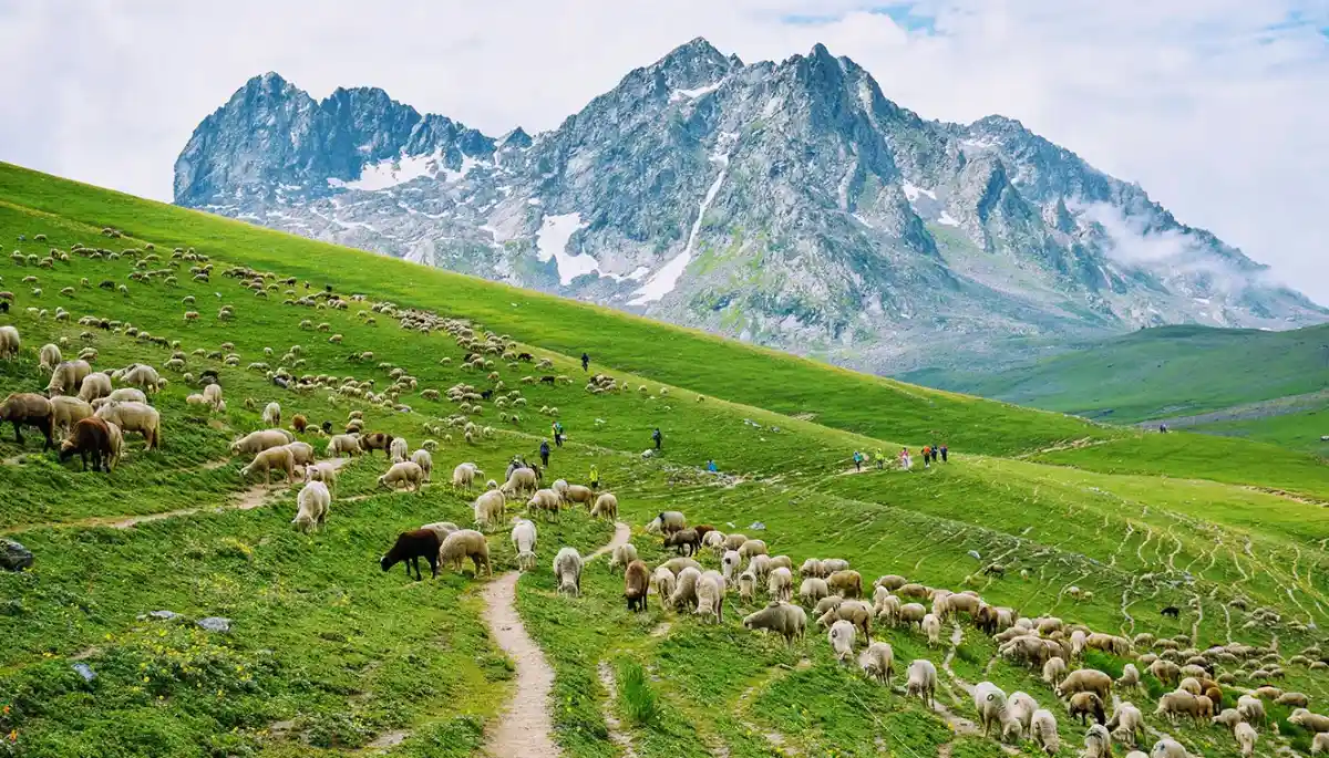 How-Kashmir-Great-Lake-Looks-On-Day-1