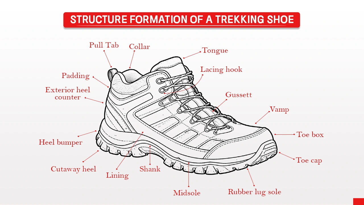The image shows all the structure of Trekking Shoes