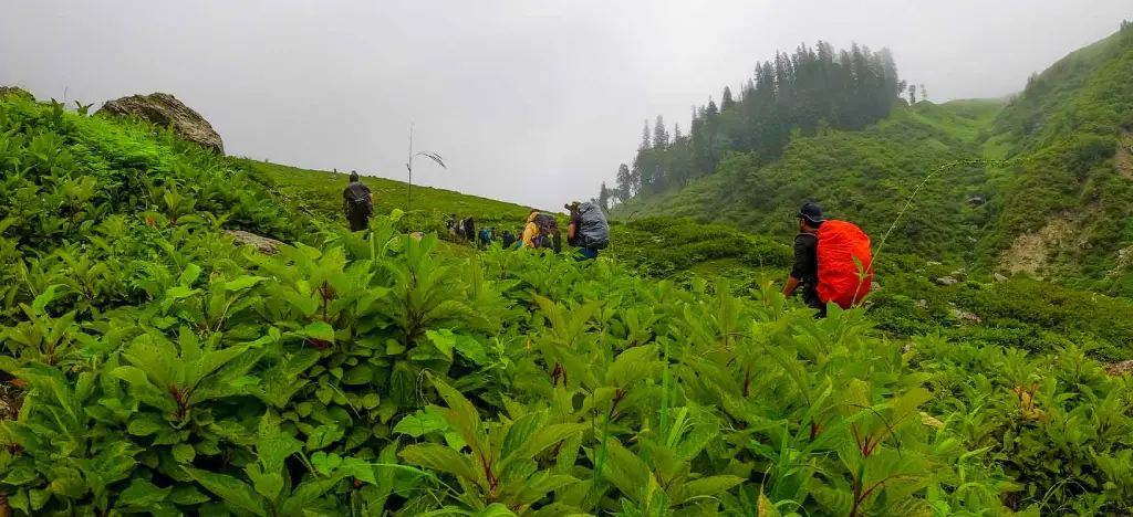 monsoon treks