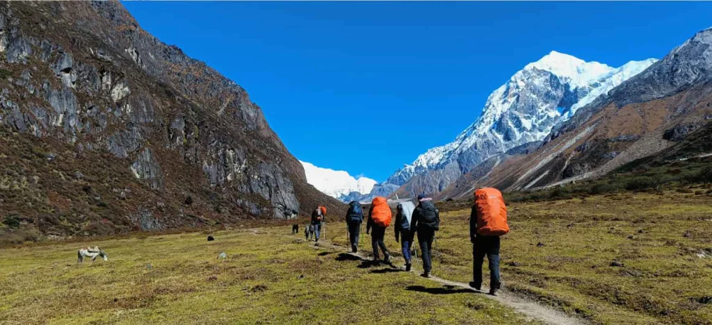 Goechala Trek