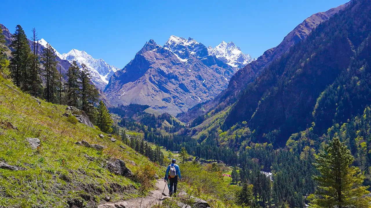 Trekking through lush green Himalayan trails in India, showcasing the beauty of India hikes, Himalayan treks, and adventure travel experiences, Trek the Himalayas