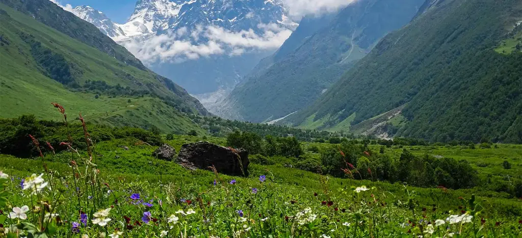 Valley of Flowers