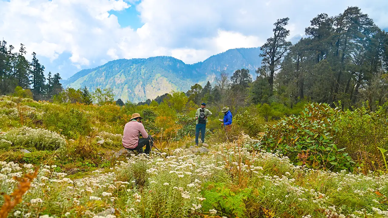 Seema Thatch meadow on the Gulabi Kantha Trek