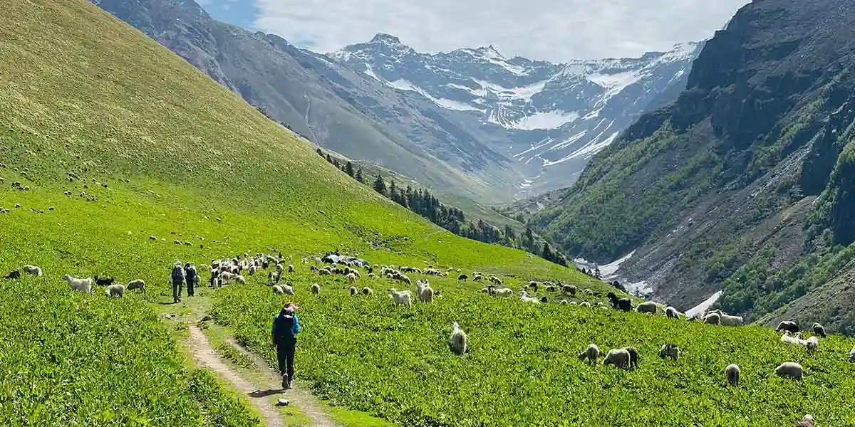 Buran Ghati Trek